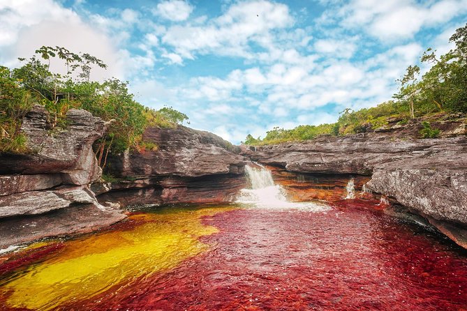 Cano Cristales & Jungle: 4 Day Trip From Bogota - Meeting and Logistics
