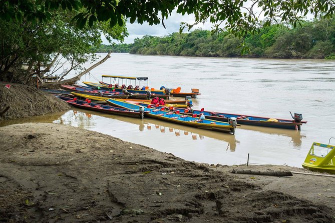 Cano Cristales & Jungle: 4 Day Trip From Bogota - Health and Accessibility