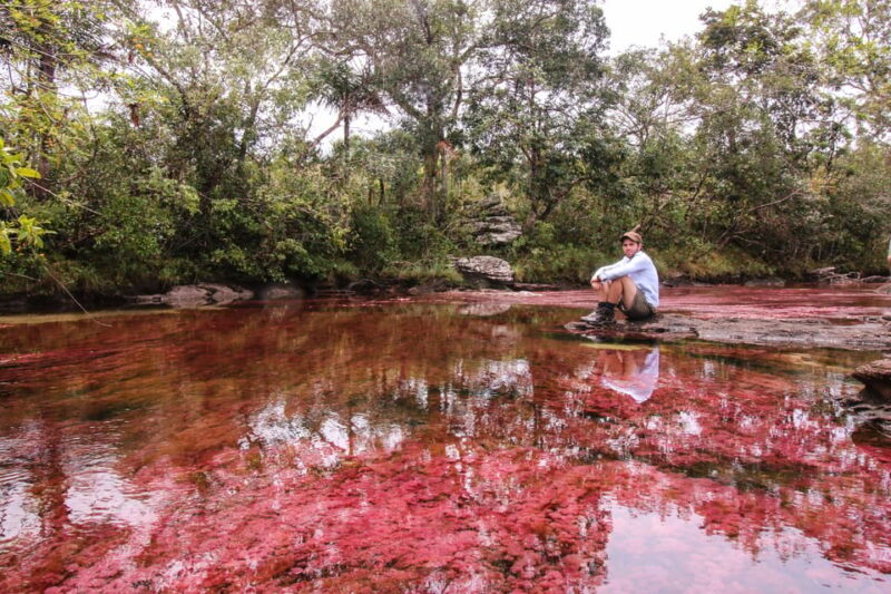 Caño Cristales Trip From Bogotá 3 Days - Key Points