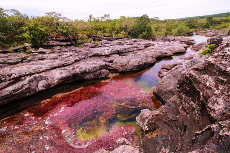 Caño Cristales Trip From Bogotá 3 Days - Itinerary Highlights