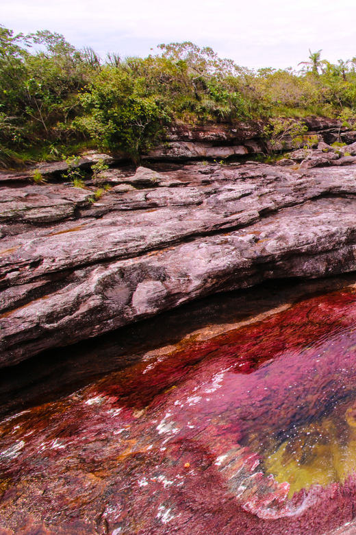 Caño Cristales Trip From Bogotá 3 Days - Inclusions