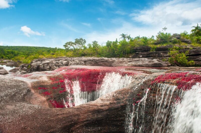 Caño Cristales Trip From Bogotá 3 Days - Preparation and Recommendations