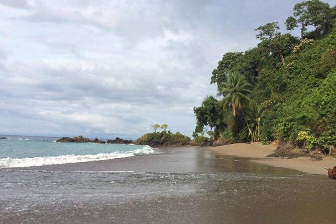 Caño Island From Sierpe - The Delicious Lunch Experience