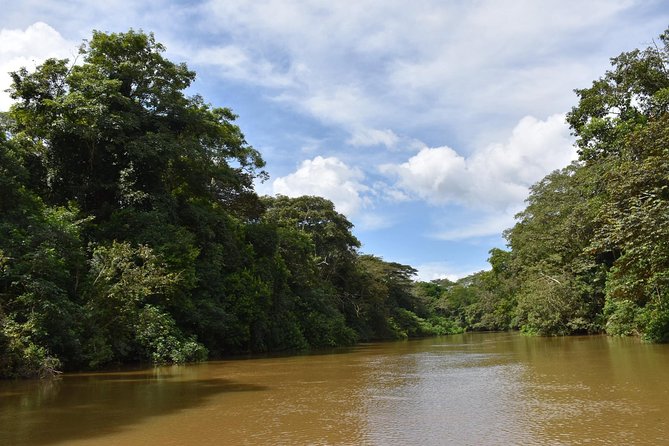 Caño Negro Wetlands by Boat|Small Groups 8 Max - Birdwatching Opportunities