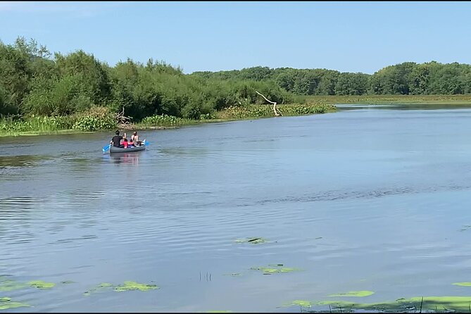 Canoe/Kayak Day Tour of Mississippi Wildlife & Fish Refuge - Reviews and Ratings