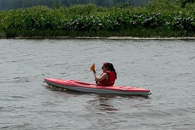 Canoe/Kayak Day Tour of Mississippi Wildlife & Fish Refuge - Paddle Through the Scenic Waterways