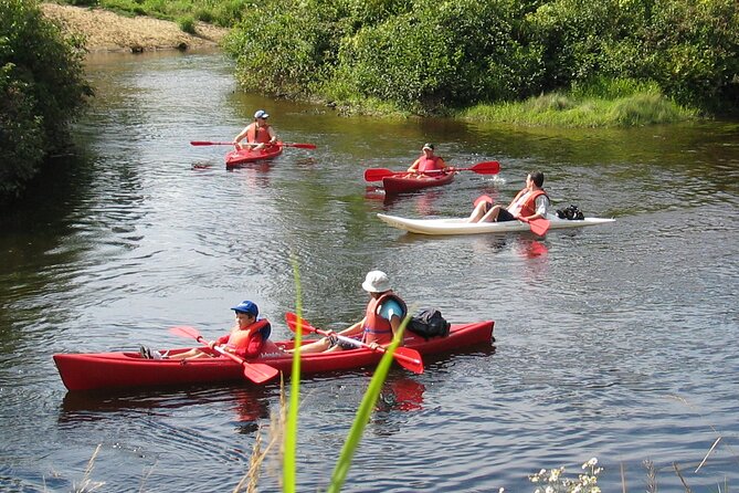 Canoe, Kayak, Paddleboard Rouge River - Self Guided Descent - Inclusions