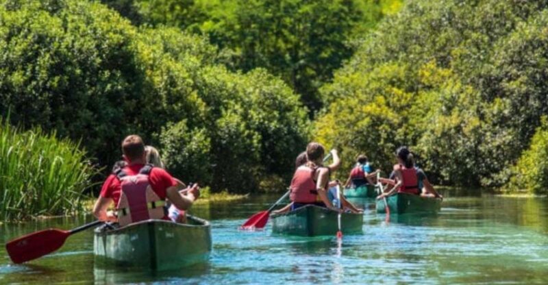 Canoe Ride on Piediluco Lake With Lunch - Experience Details