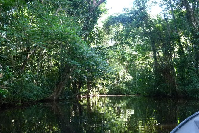 Canoe Tour in Tortuguero National Park - Meeting and Logistics