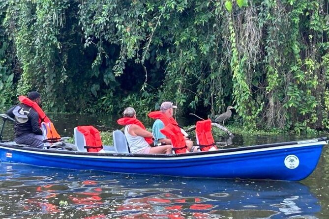 Canoe Tour in Tortuguero National Park - Feedback and Reviews