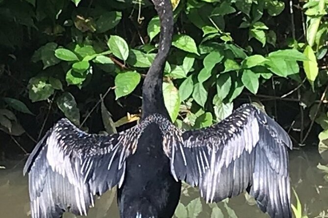 Canoe Tour Through Parque N. Tortuguero in Français, English, Español , Dutch - Positive Customer Feedback