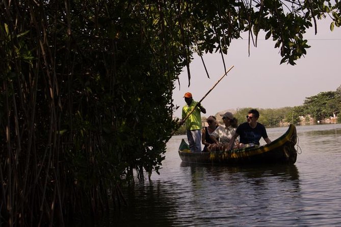 Canoe Trip in the Mangrove Forest in La Boquilla - Exploring the Cienaga De La Virgen