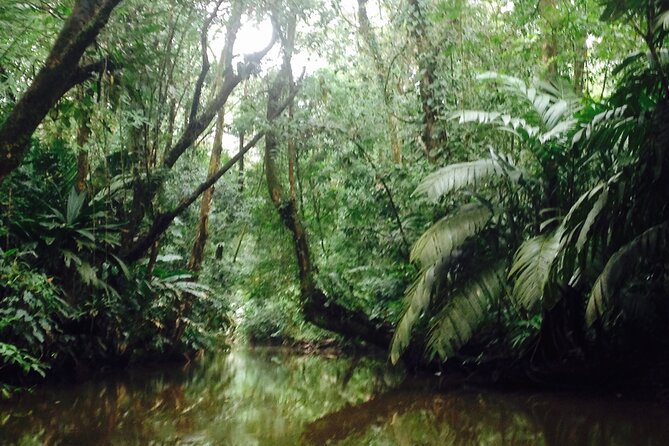 Canoe & Wildlife Spotting on Small Canals of Tortuguero Park - Booking Information