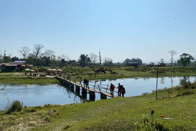 Canoeing and Nature Walk in Chitwan National Park - Canoeing on the Rapti River