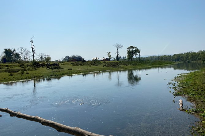 Canoeing and Nature Walk in Chitwan National Park - Inclusions and Pricing Details