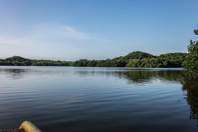 Canoeing & Birdwatching on the Mangrove Forest in La Virgen Swamp - Discovering La Boquillas Fishing Heritage
