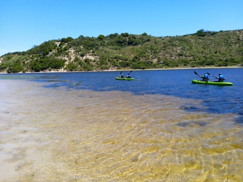CANOEING IN SEDGEFIELD AT OYSTERS EDGE, GARDEN ROUTE - Inclusive Canoeing Package Details