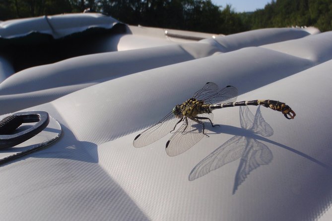 Canoeing/Kayaking on Kupa River, Croatia - Discovery Trip - Participation Requirements