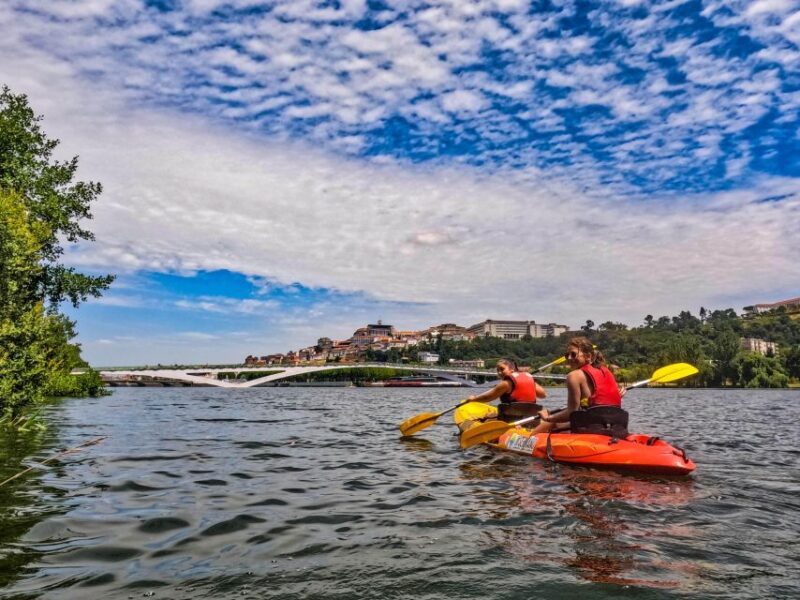 Canoeing on the Mondego River 12km, Penacova, Coimbra - Highlights and Features