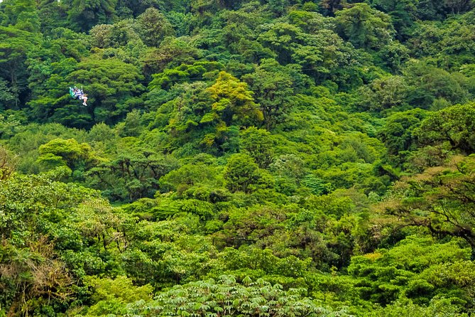Canopy Adventure From Monteverde - Key Points