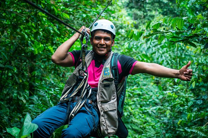 Canopy in the Jungle - Key Points