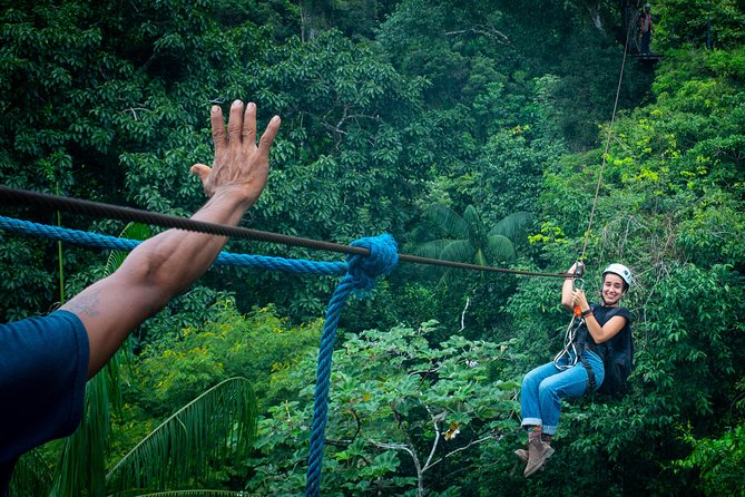 Canopy in the Jungle - Activity Schedule and Availability