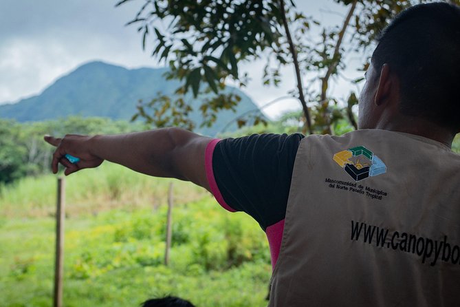 Canopy in the Jungle - Health and Safety Considerations