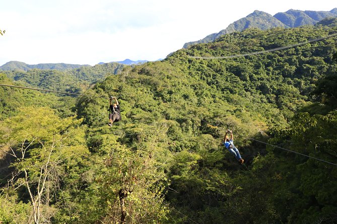 Canopy River Zipline Tour and Mule Ride - Mule Ride Experience