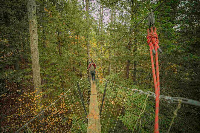 Canopy Tour at Haliburton Forest - The Itinerary Breakdown: What to Expect