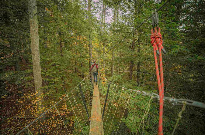 Canopy Tour at Haliburton Forest - The Sum Up: Who Is This Tour Best For?