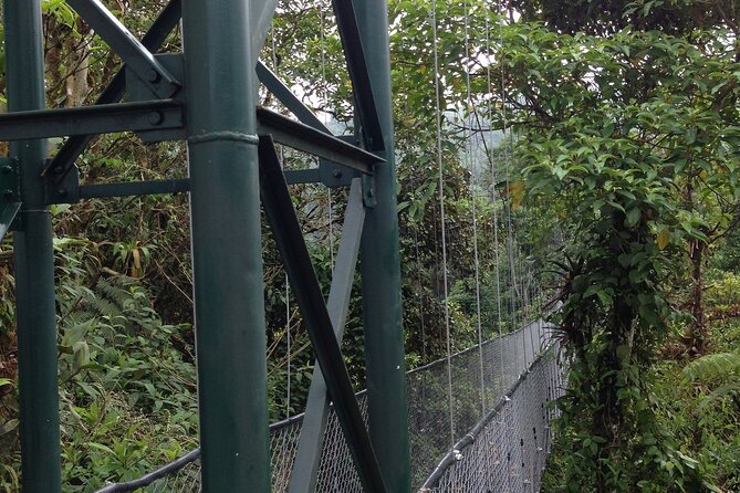 Canopy Tour in the Fabulous Hanging Bridges From San José - Key Points