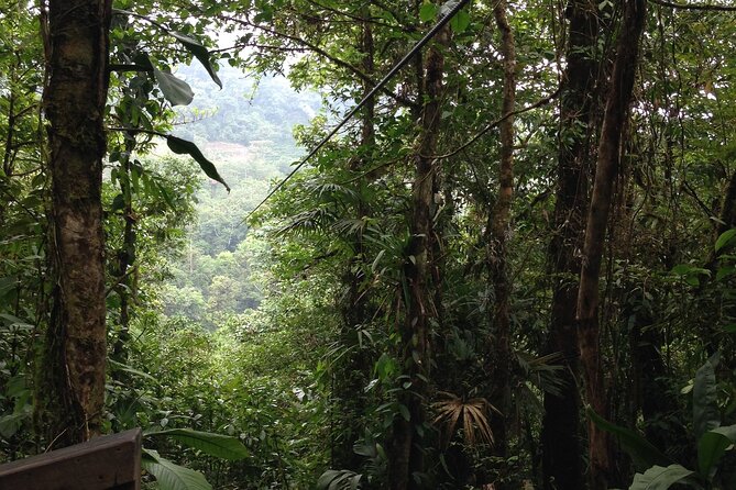 Canopy Tour in the Fabulous Hanging Bridges From San José - Exploring the Hanging Bridges