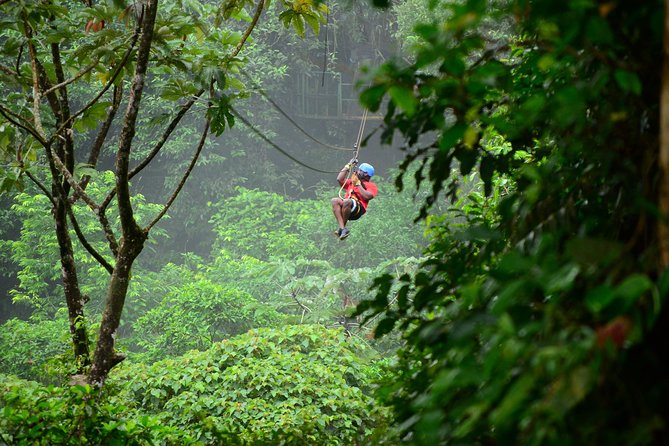 Canopy Tour + Tarzan Swing + White Water Rafting - Activities and Highlights