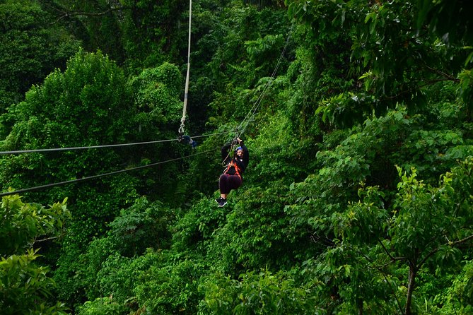 Canopy Tour + Tarzan Swing + White Water Rafting - Canopy Tour Experience