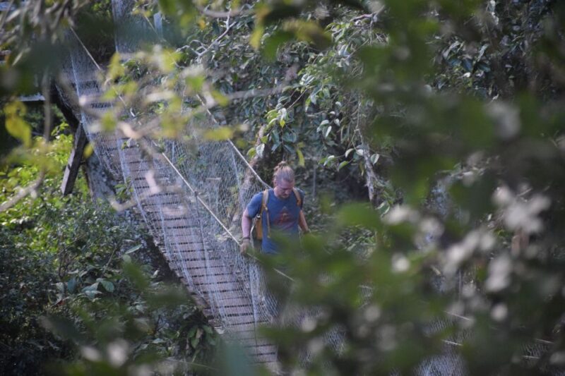 Canopy Walk and Monkey Island - Accessibility and Restrictions