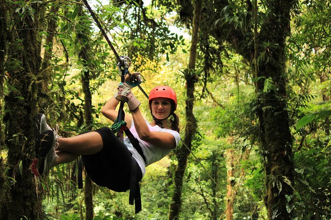 Canopy Zipline & Butterflies From Monteverde - Zipline Adventure