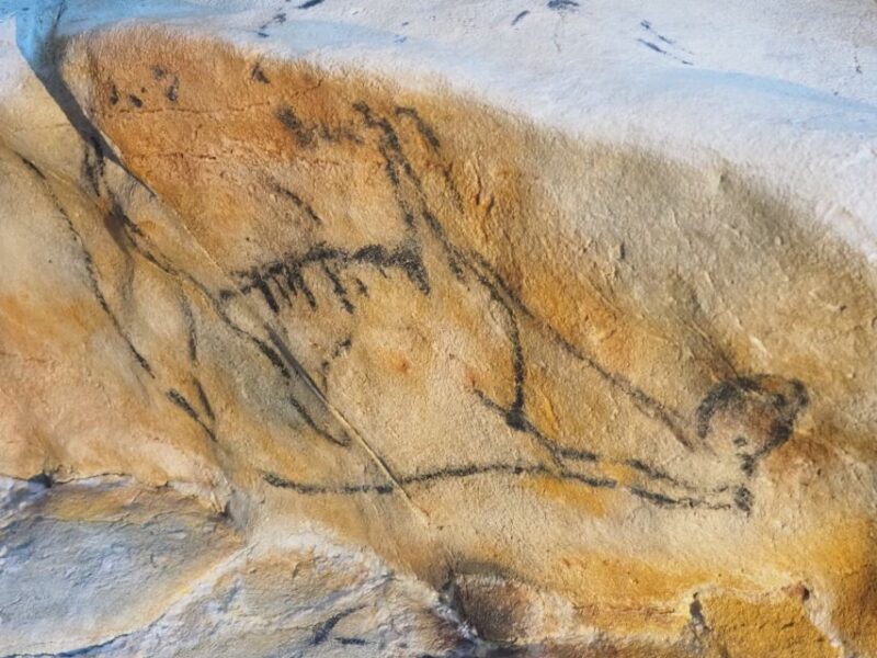 Cantabria: The Castillo Caves & Paleolithic Art - Key Points