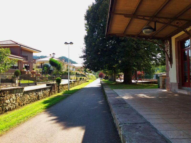 Cantabria: The Castillo Caves & Paleolithic Art - Included Services