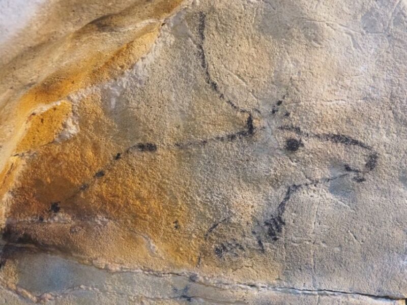 Cantabria: The Castillo Caves & Paleolithic Art - Important Information
