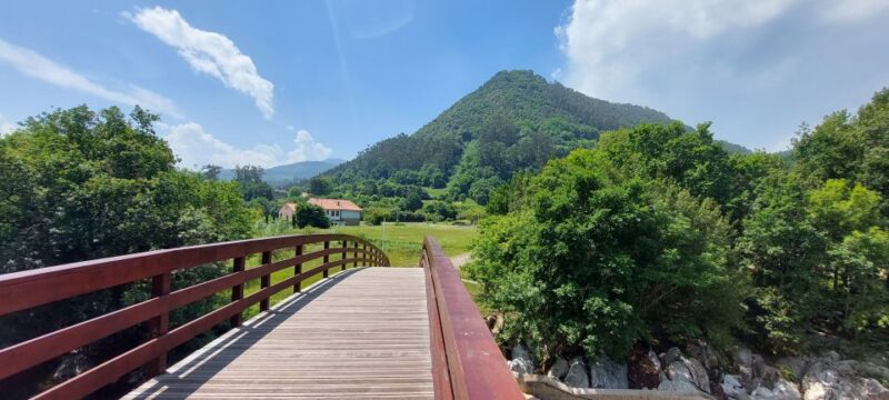 Cantabria: The Castillo Caves & Paleolithic Art - Discovering Cave Paintings