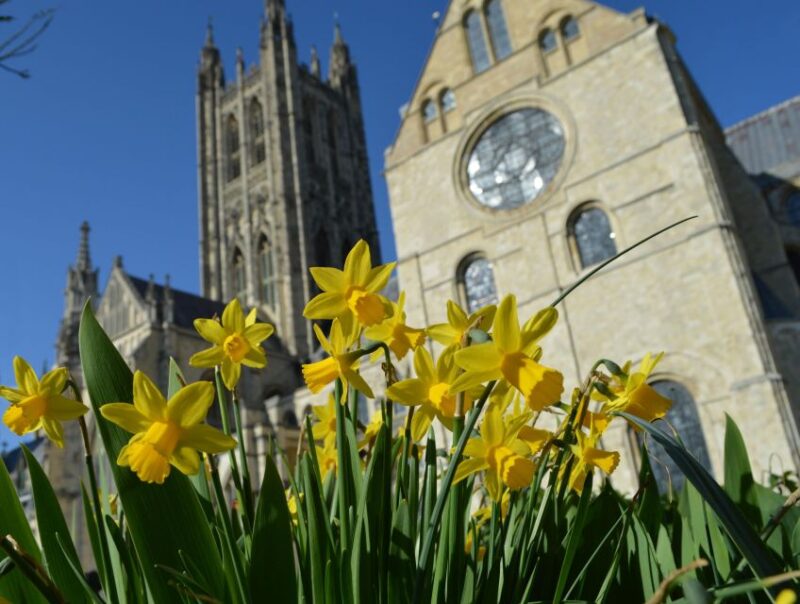 Canterburys Unesco Places Tour - St Augustines Abbey