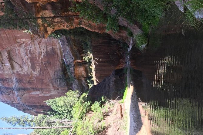 Canyon Adventure- Ancient Ruins, Wild Foods & Survival Skills! - Foraging for Wild Foods