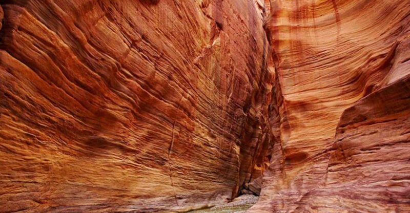 Canyon Salama Jeep Safari in Sinai Desert & Dahab Snorkeling - Itinerary Highlights