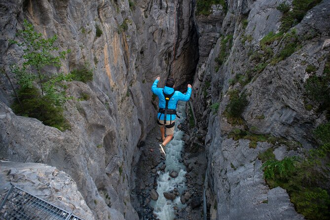 Canyon Swing With OUTDOOR - Age and Weight Restrictions