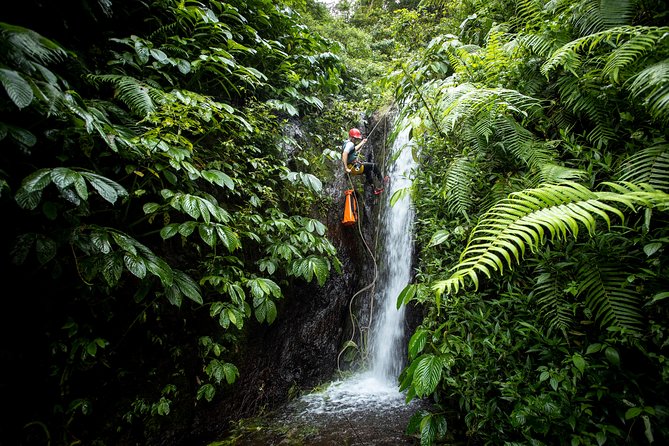 Canyoning Bali, Tamata Canyon Adventure - Unique Features and Highlights