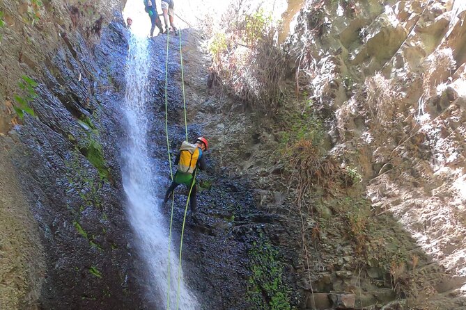 Canyoning Experience in Gran Canaria (Cernícalos Canyon) - Group Size and Guide Language
