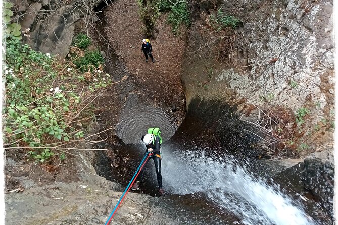 Canyoning in Rainforest: the Hidden Waterfalls of Gran Canaria - Meeting Point and End Point