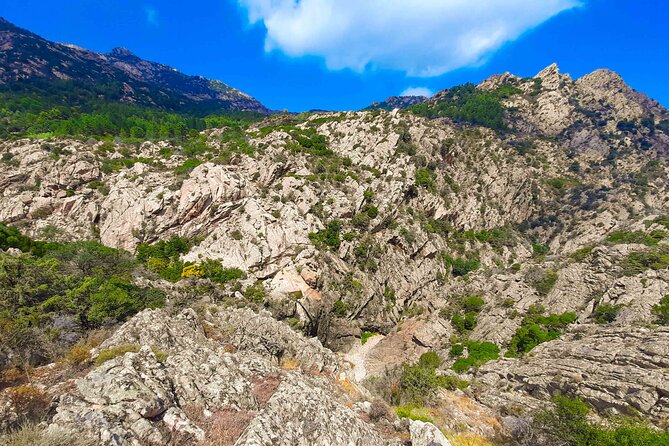 Canyoning in Rio Pitrisconi and Monte Nieddu in San Teodoro - Group Size Limitations