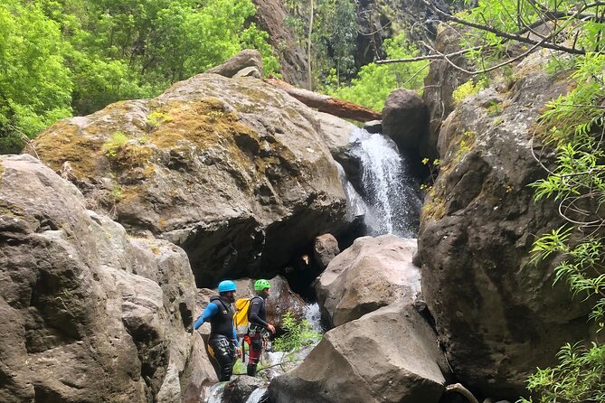 Canyoning Madeira Island Level 2 - Booking and Pricing Information