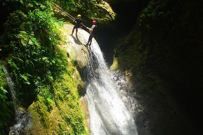 Canyoning - The Magic Mushroom - Customer Feedback